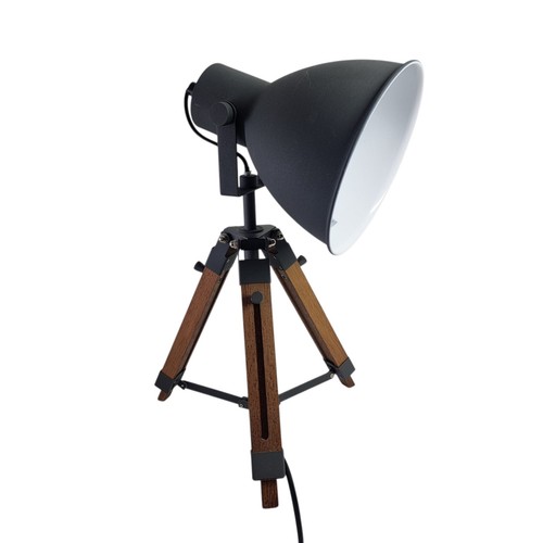 Directors desk lamp spotlight - directors,