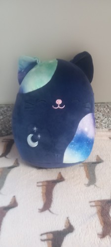 Midnight cat squishmallow - midnight,