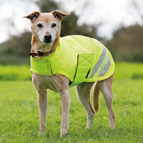 Equi flector dog coat - dog,