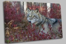 Wild wolf animals canvas wall - canvas,