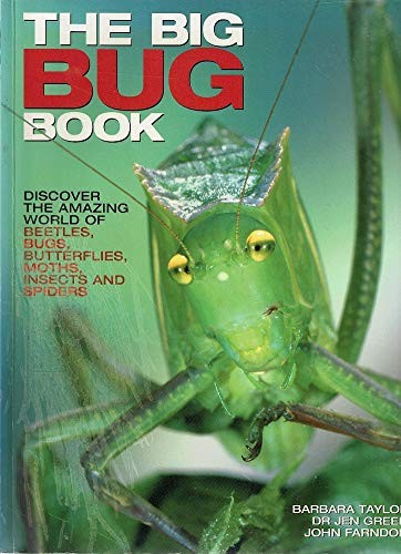 The big bug book beetle - bug,