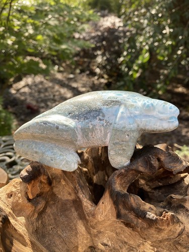 Larimar lizard chameleon deep - lizard,
