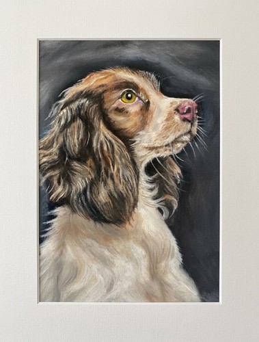 Spaniel original oil - original,