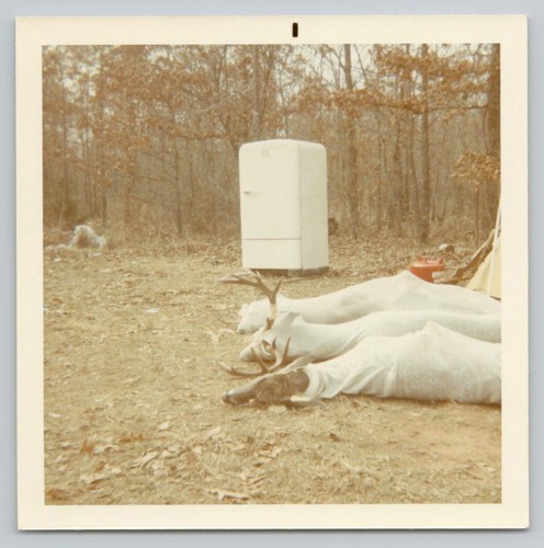 1960s snapshot deer hunting - snapshot,