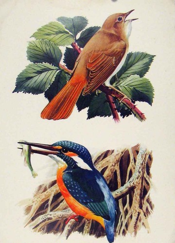 Original old antique - original, print