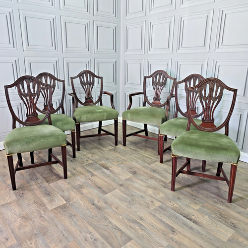 Antique dining chairs - dining,