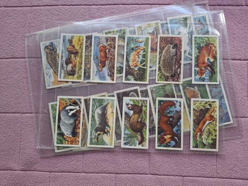 Part set brooke bond - set,