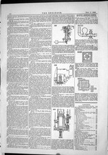 Old Print 1883 American