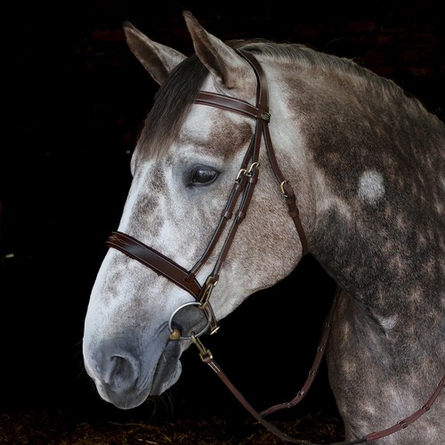 Whitaker madrid fancy stitch - fancy,