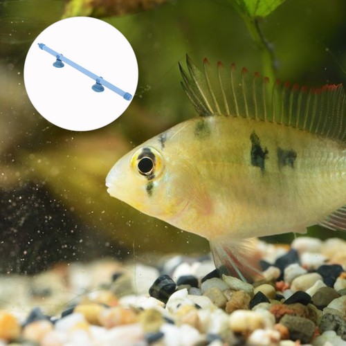 Inch air bubble fish - bubble,