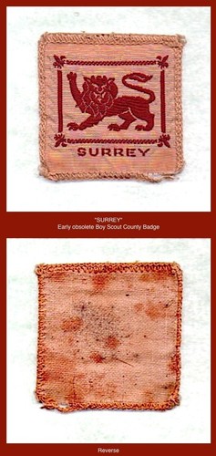 Surrey early boy scout - "surrey",