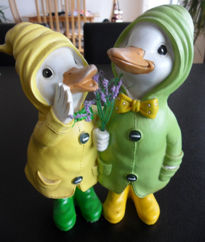Dilly and dally puddle - dally, ducks