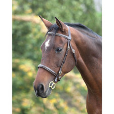 Shires Velociti GARA Fancy