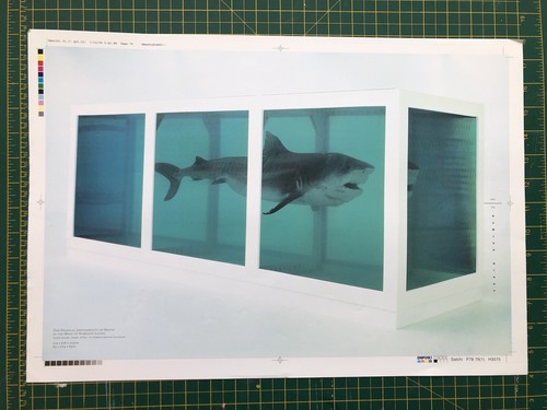 Printed proof yba damien - printed, hirst