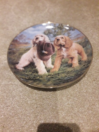 The franklin mint - the,