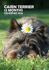 Cairn Terrier 2026 Calendars (A3)