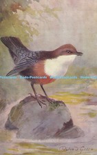 R345984 Roland Green Dipper Post Card