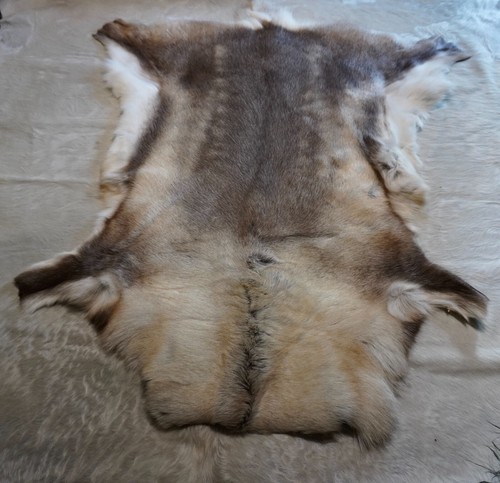 Reindeer hide big - reindeer,