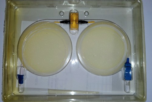 Mechanical variable adjustable - variable,