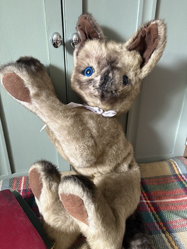 Vintage merrythought cat - vintage,