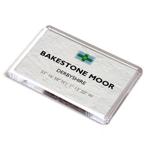 Fridge magnet bakestone - fridge,