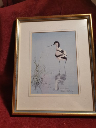 Avocet limited edition print - limited,