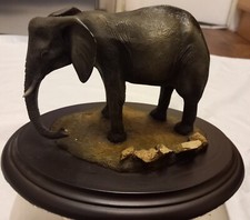 feathers Of knysna Elephant