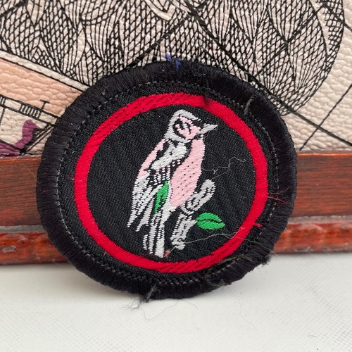Vintage girl guides chaffinch - vintage,