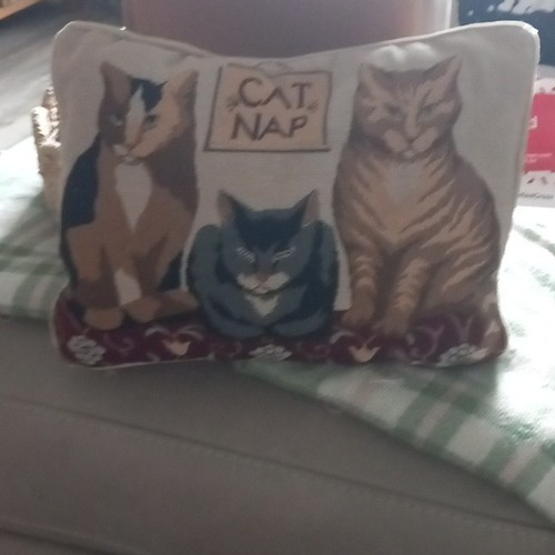 Small tapestry cat pillow - cat,
