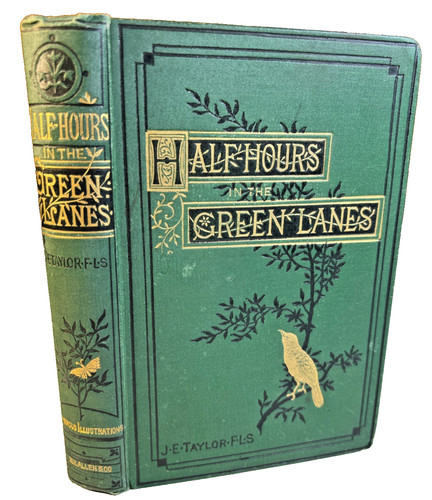 Antique 1884 half - antique,