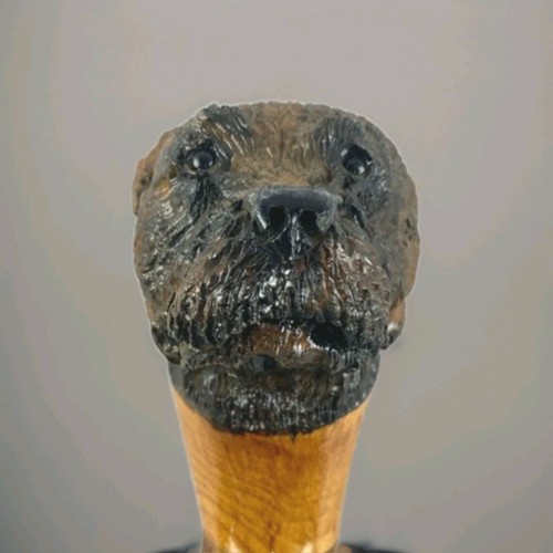 Dog head handle - head, walking