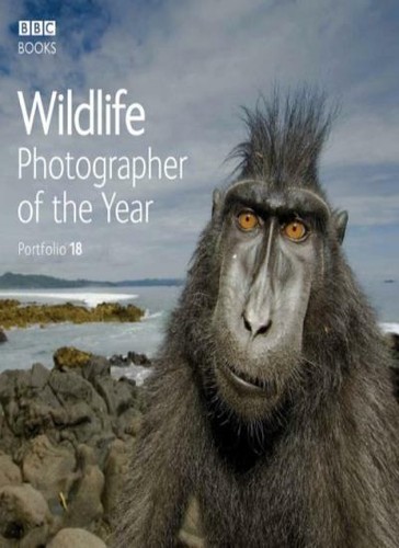 Wildlife photographer the - wildlife, of