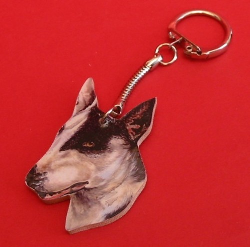 English bull terrier - bull,