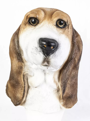 Beagle dog mask blood - dog,