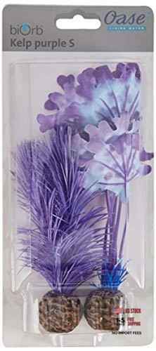 46079 small purple aquariums - purple,