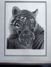 Gary Hodges Bengal Tiger and