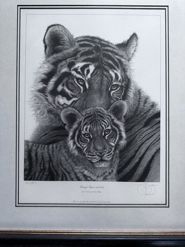 Gary hodges bengal tiger and - gary,