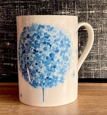 Rose of England 'Blue