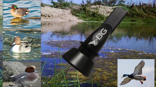 Duck call buck gardner pt01 - call,