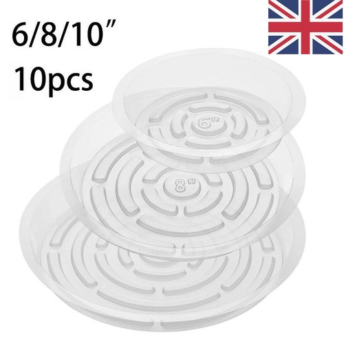 10pack 10 inch clear - of,