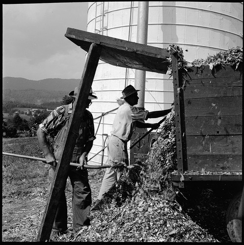 1960s photo negative - photo,
