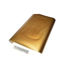 MZ ES 252, ES 250/2 Trophy