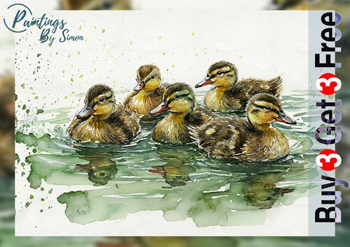 Mallard ducklings print - mallard, 5"x7"