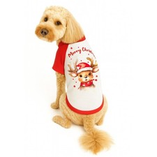 Christmas Dog Reindeer Jumper