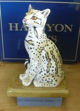 Large Halcyon Days Ocelot Cub