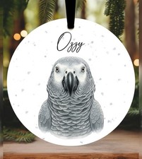 African Grey Parrot Christmas