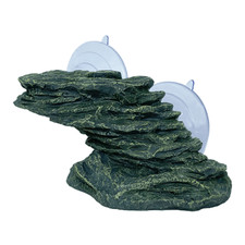 Swell Rocky Cliff Turtle