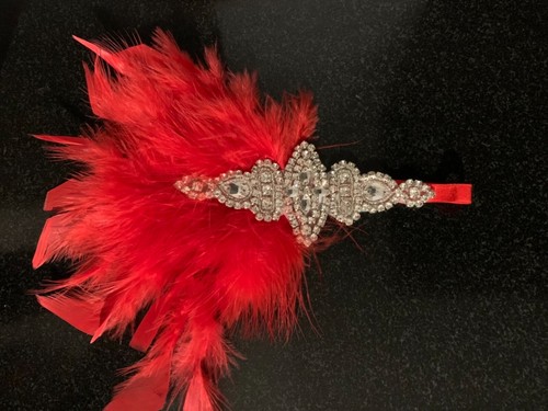 Hair accessory feather - hair, accessory.feather