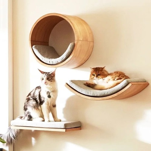 Wall mounted cat shelves - mounted,