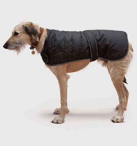 Danish design harness dog - design,
